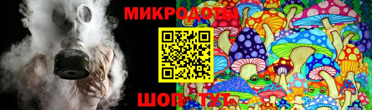 Псилоцибиновые грибы Psilocybe Лангепас