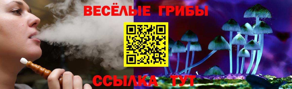 Лангепас  Псилоцибиновые грибы прущие грибы  где найти наркотики  Вход с VPN 